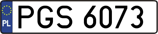 PGS6073