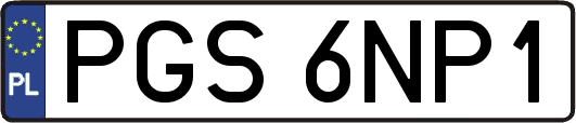 PGS6NP1