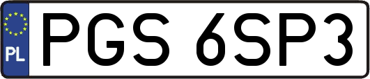 PGS6SP3