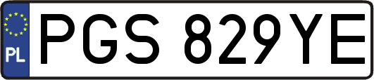 PGS829YE