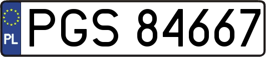 PGS84667