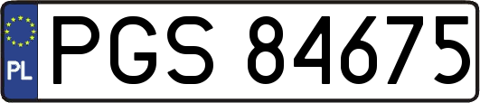 PGS84675