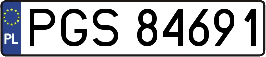 PGS84691