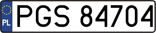 PGS84704