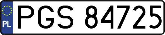 PGS84725