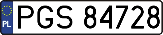 PGS84728