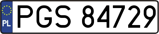 PGS84729