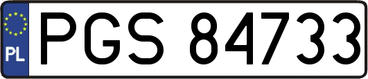 PGS84733