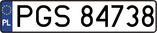 PGS84738