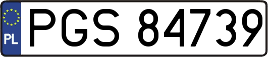 PGS84739