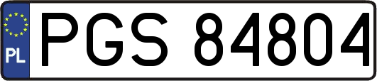 PGS84804