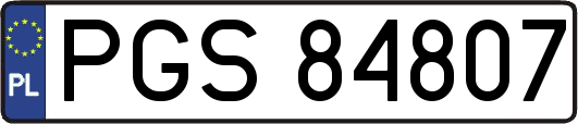 PGS84807