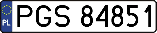 PGS84851