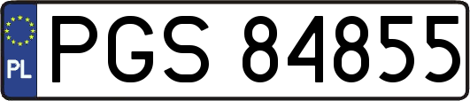 PGS84855
