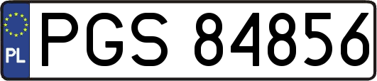 PGS84856