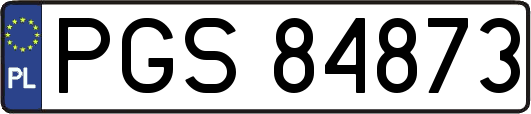 PGS84873