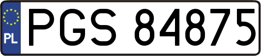 PGS84875