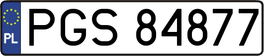 PGS84877