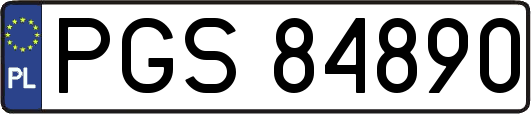 PGS84890