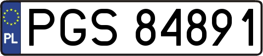 PGS84891