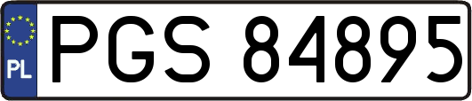 PGS84895
