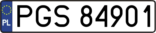 PGS84901