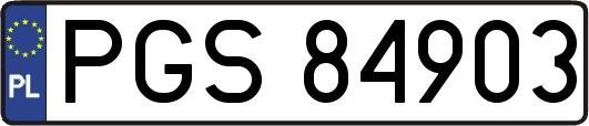 PGS84903