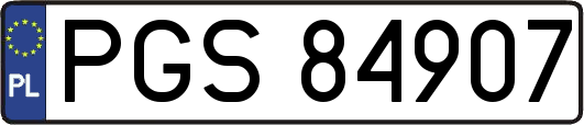 PGS84907