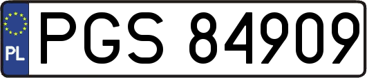 PGS84909