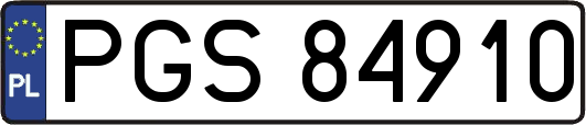 PGS84910