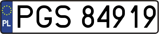 PGS84919