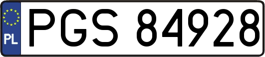 PGS84928