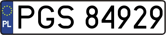 PGS84929