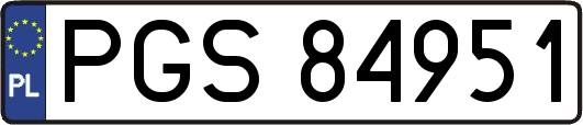 PGS84951