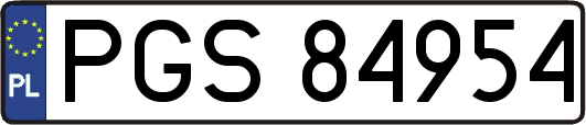 PGS84954