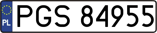 PGS84955