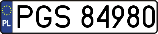 PGS84980