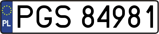 PGS84981