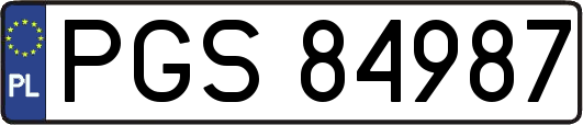 PGS84987