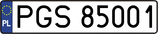 PGS85001