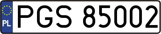 PGS85002