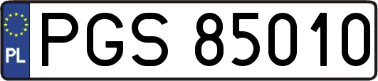 PGS85010