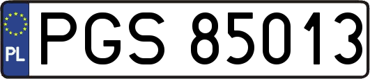 PGS85013