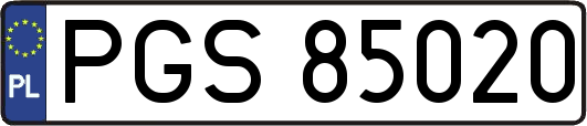 PGS85020