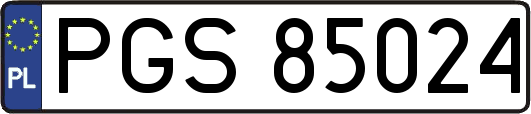 PGS85024