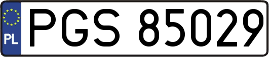 PGS85029