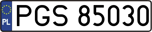 PGS85030