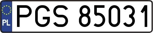 PGS85031
