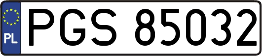 PGS85032