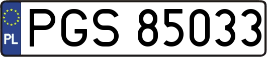 PGS85033